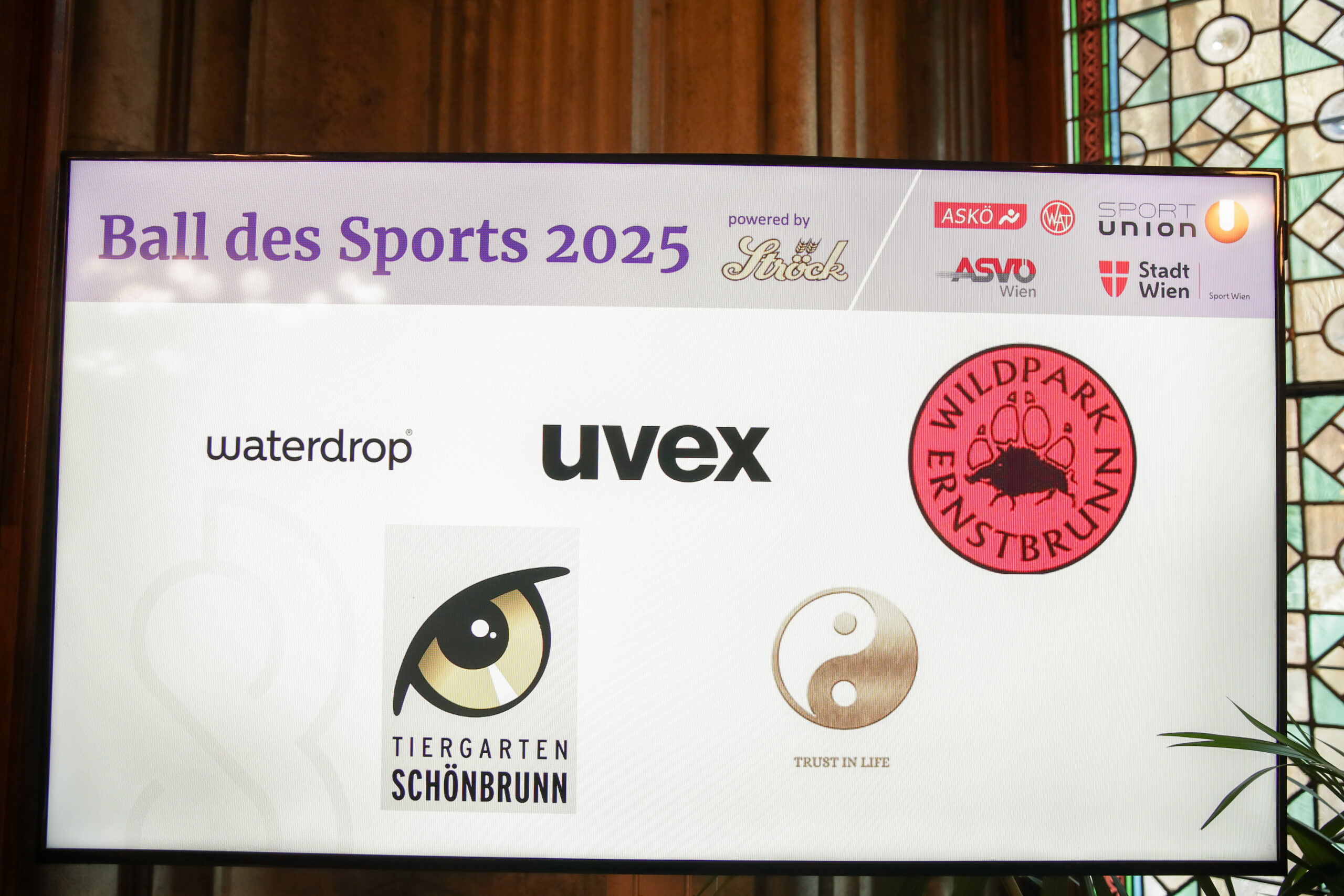 Ball des Sports 2025 ©NEW AGE Fotografie 75 scaled